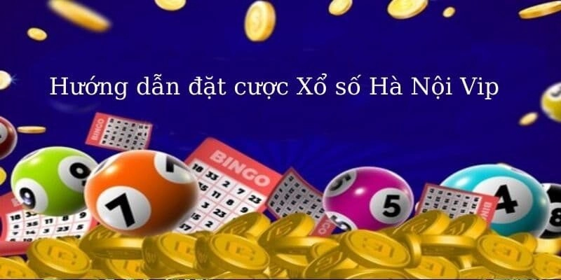 Tìm hiểu về Hà Nội Vip